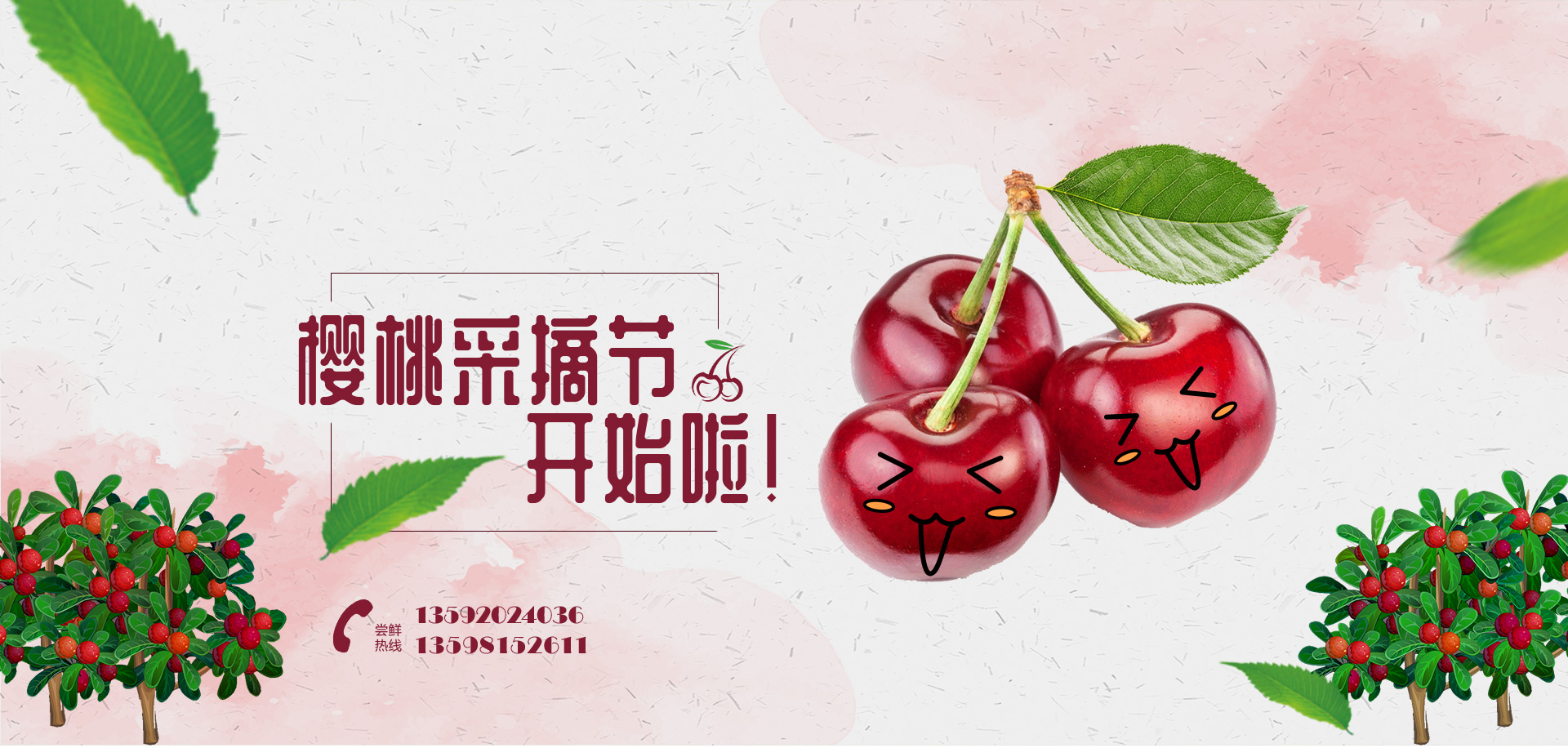 大樱桃节官宣！不只是吃樱桃哟~ - 潍坊新闻 - 潍坊新闻网